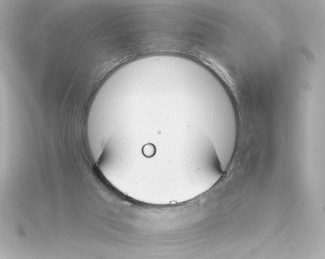 X0000115250017200911271914