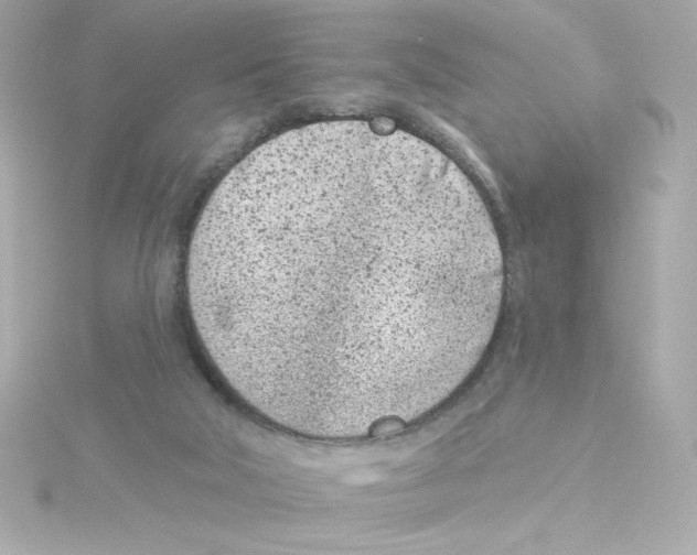 X0000115250018200911271914