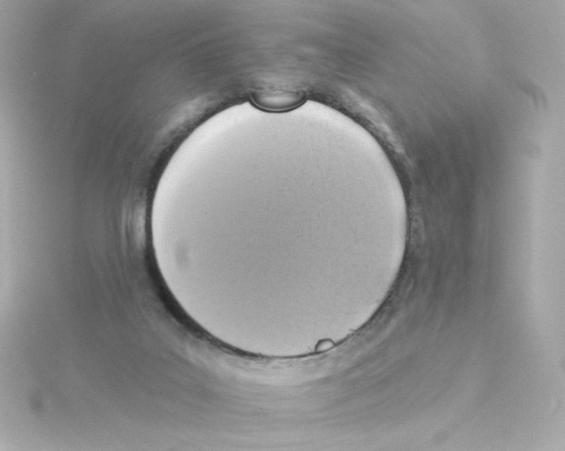 X0000115250019200911271914