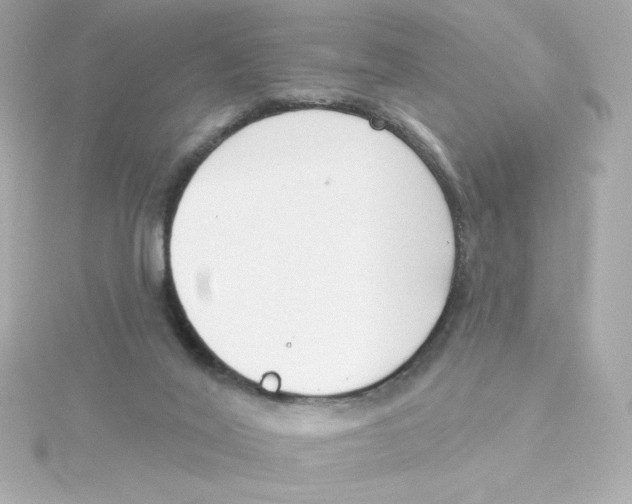 X0000115250020200911271914