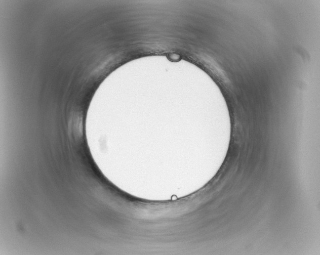 X0000115250021200911271914