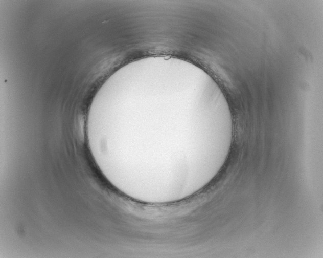 X0000115250022200911271914