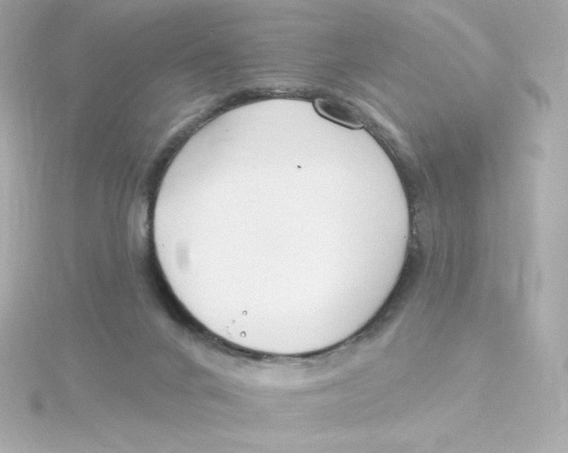 X0000115250024200911271914