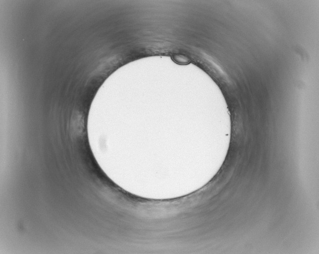 X0000115250025200911271914