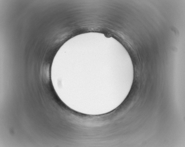 X0000115250028200911271914