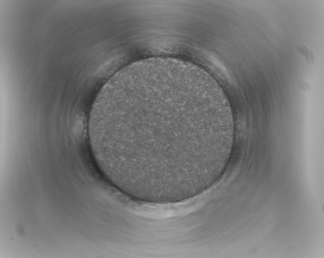 X0000115250029200911271914