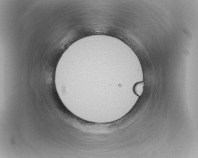 X0000115250032200911271914