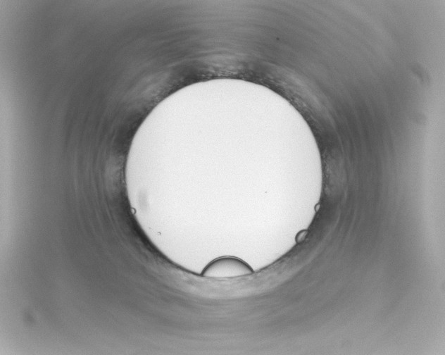 X0000115250034200911271914