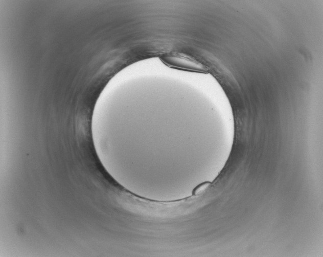 X0000115250035200911271914