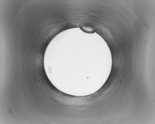 X0000115250036200911271914