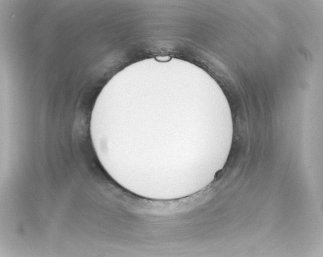 X0000115250037200911271914