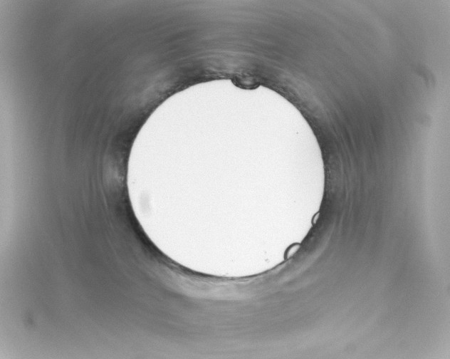 X0000115250040200911271914