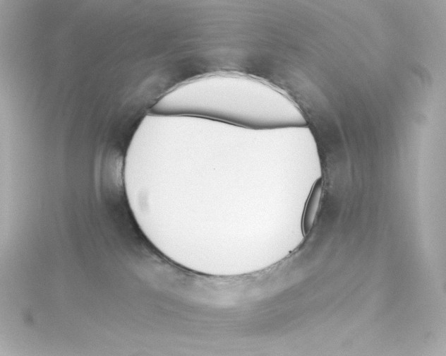 X0000115250041200911271914