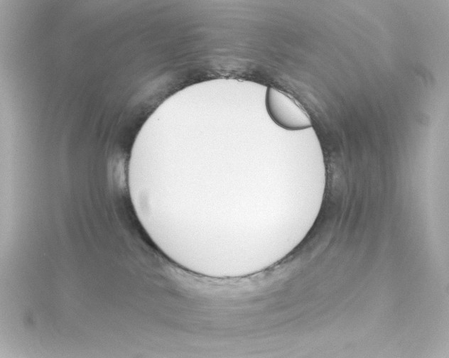 X0000115250042200911271914