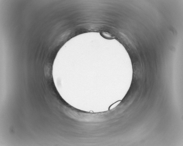 X0000115250044200911271914