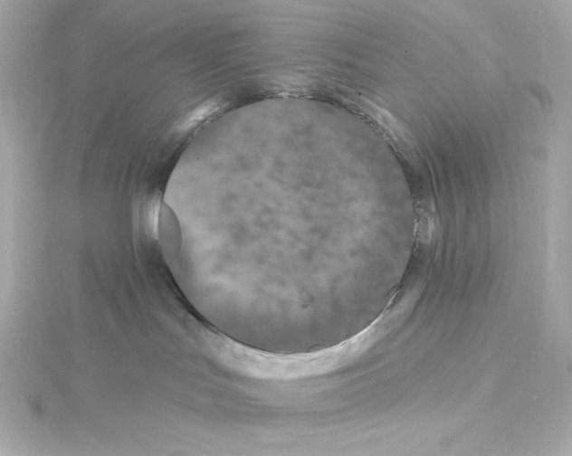 X0000115250047200911271914