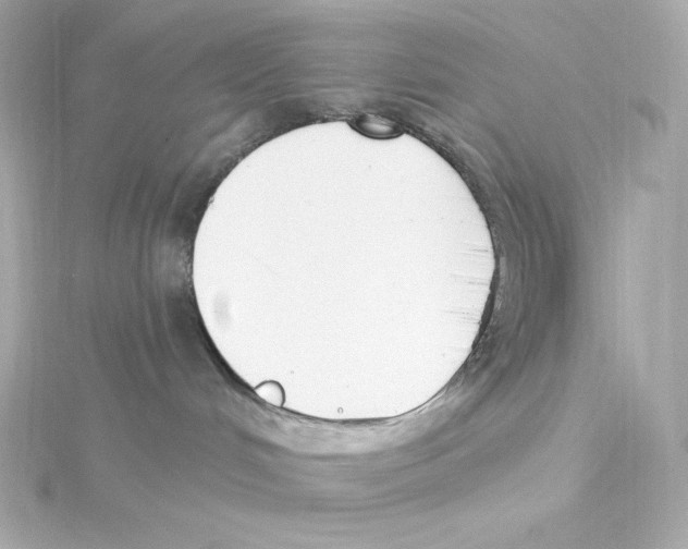 X0000115250048200911271914