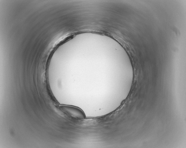 X0000115250050200911271913