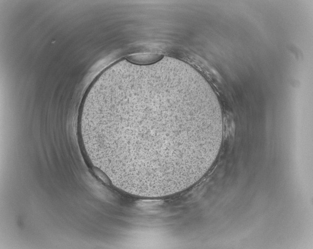 X0000115250051200911271913