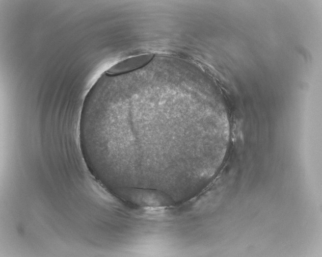 X0000115250052200911271913