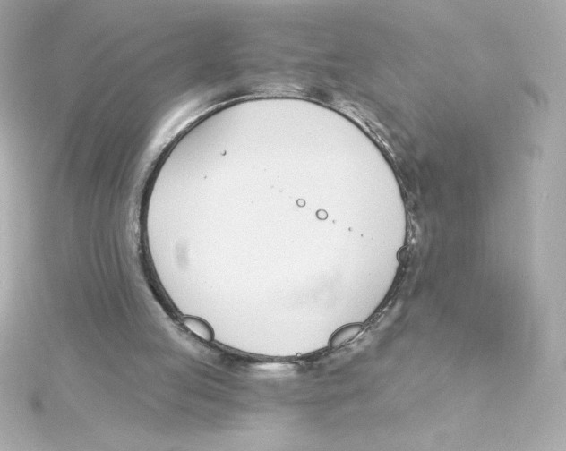 X0000115250053200911271913