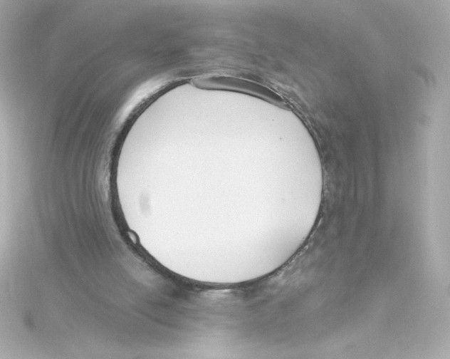 X0000115250054200911271913