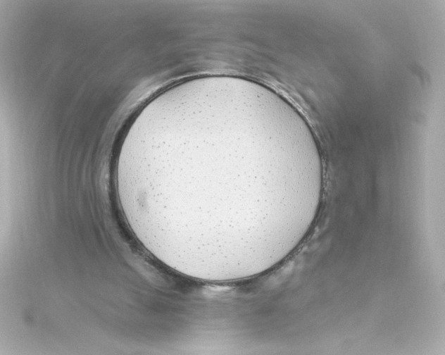 X0000115250055200911271913