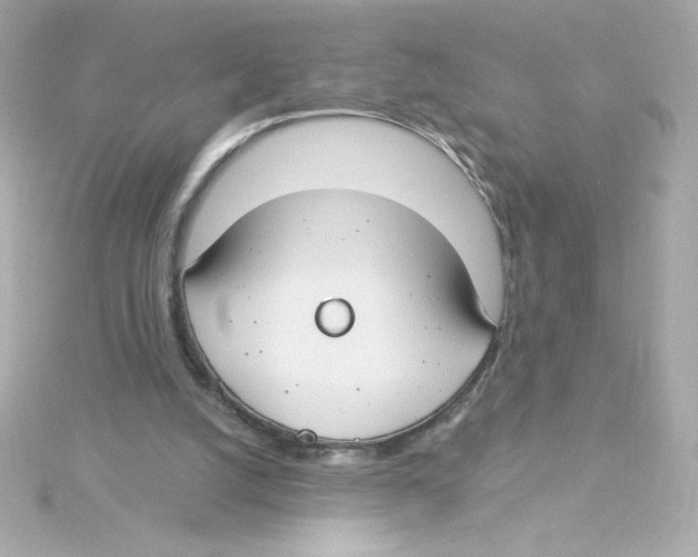 X0000115250056200911271913