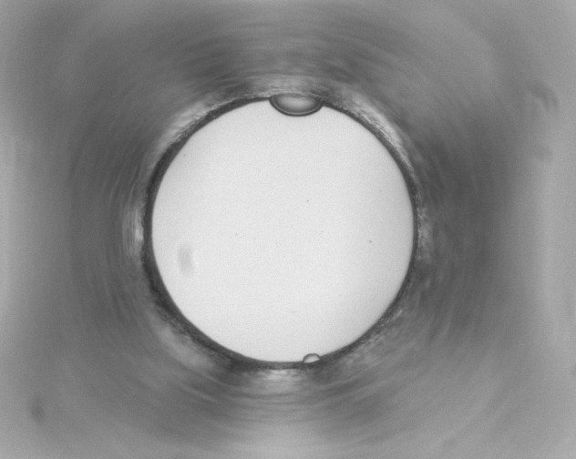 X0000115250059200911271913