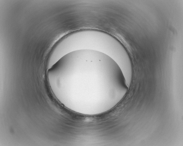 X0000115250060200911271913