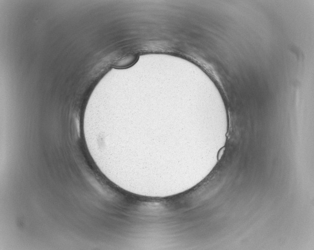 X0000115250061200911271913