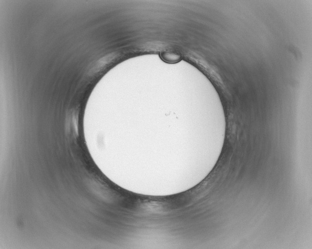 X0000115250062200911271913