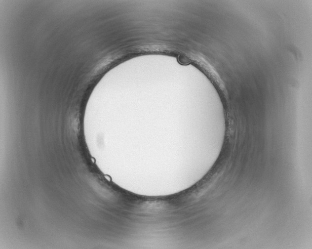 X0000115250063200911271913