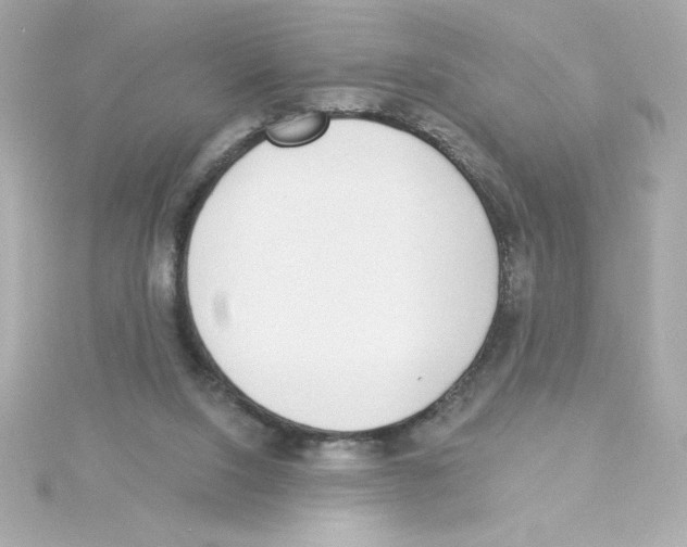 X0000115250064200911271913