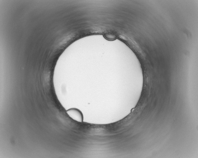 X0000115250066200911271913