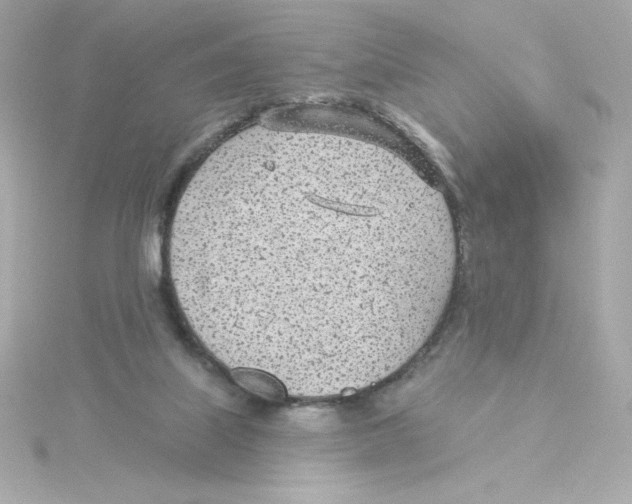 X0000115250067200911271913