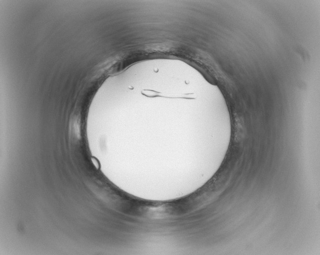 X0000115250068200911271913