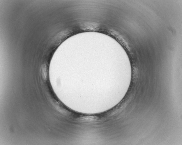 X0000115250069200911271913