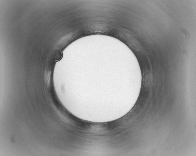 X0000115250070200911271913