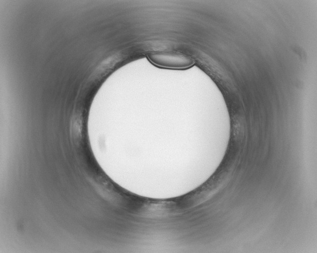 X0000115250072200911271914