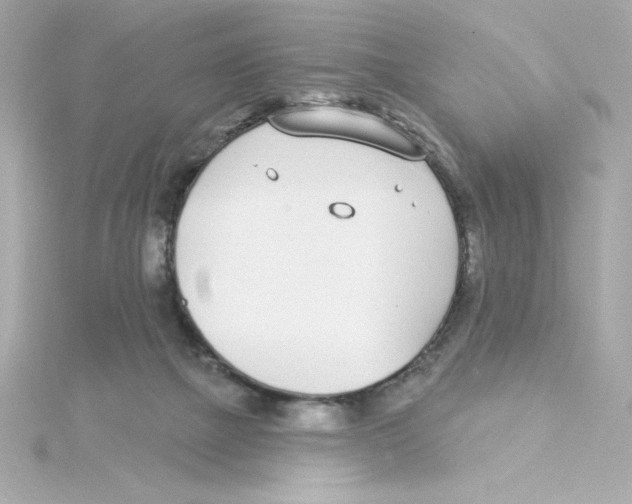 X0000115250073200911271914