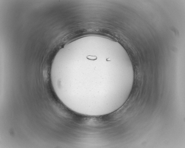 X0000115250074200911271914