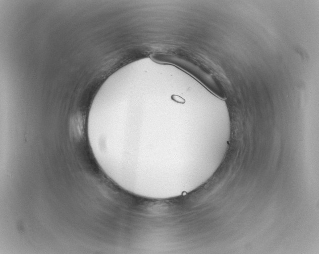 X0000115250075200911271914