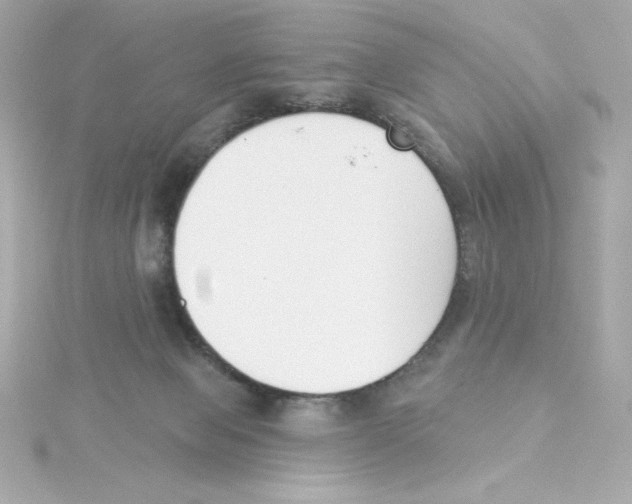 X0000115250077200911271914