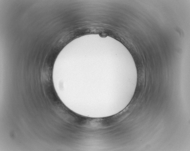 X0000115250078200911271914