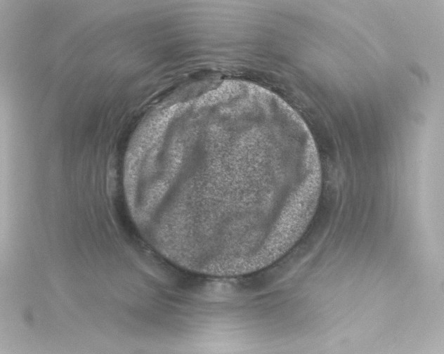 X0000115250080200911271914