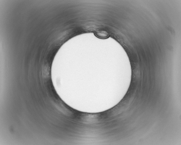 X0000115250081200911271914