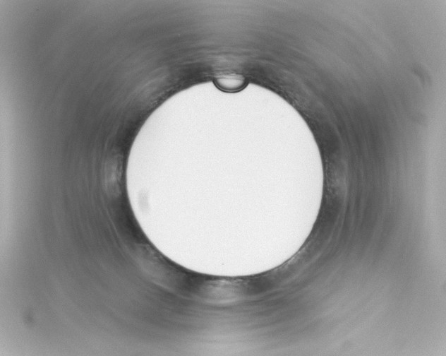 X0000115250082200911271914