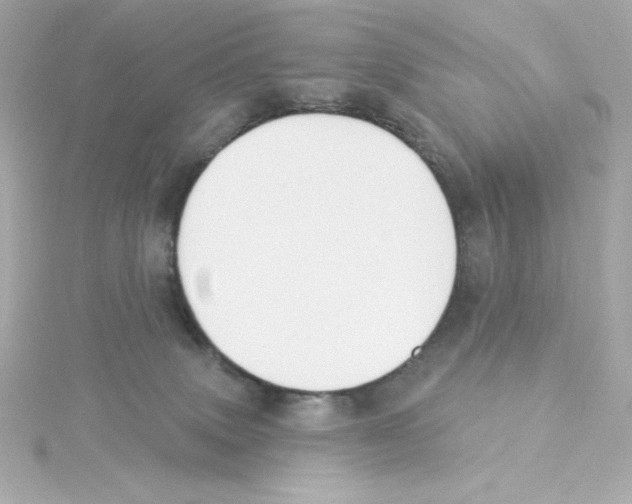 X0000115250083200911271914