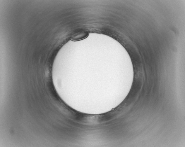 X0000115250084200911271914